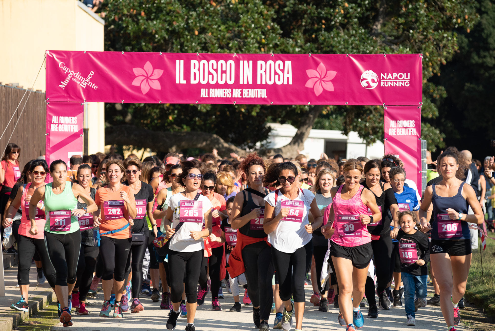 Bosco in Rosa – Corri tra i capolavori